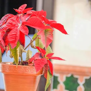 La Esperanza Guest house